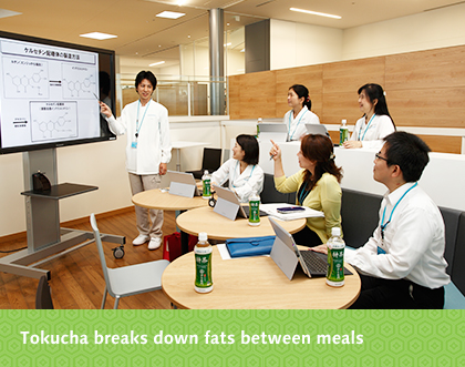 Tokucha breaks down fats between meals