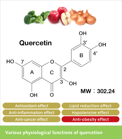 Various physiological functions of quercetion