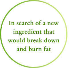 In search of a new ingredient that would break down and burn fat