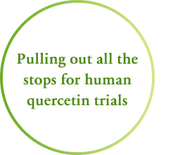 Pulling out all the stops for human quercetin trials