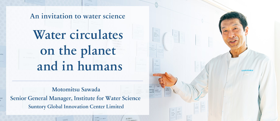 Water circulates on the planet and in humans