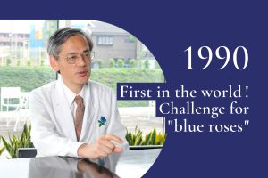 1990｜The Blue Rose Project started