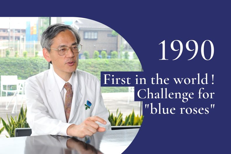 1990｜The Blue Rose Project started
