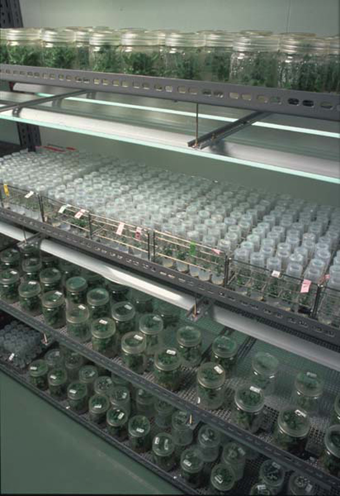 Steady efforts of repeating trials and errors