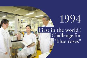 1994｜Roses into which petunia blue genes were introduced flowered, but they showed no hint of blue