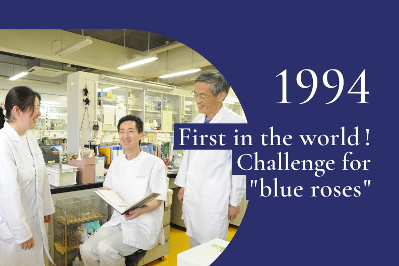 1994｜Roses into which petunia blue genes were introduced flowered, but they showed no hint of blue
