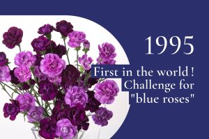 1995｜Succeeded in producing blue carnation