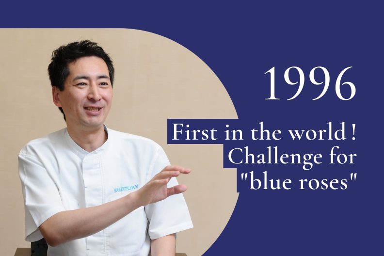 1996｜Blue pigments finally accumulated in roses, too; flower color changed