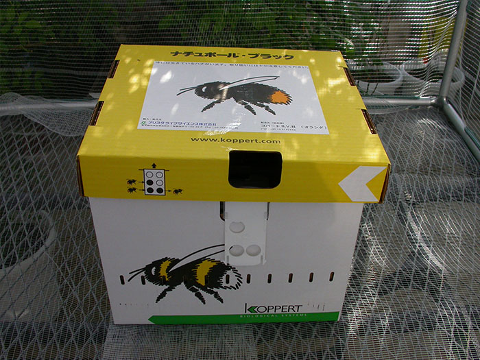 A hive box