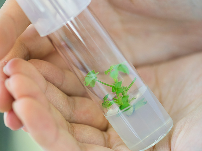 To continue responding to our customers’ hopes