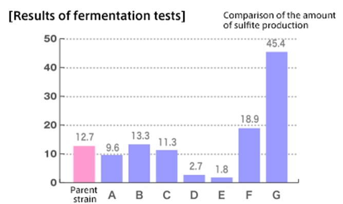 Results of fermentation tests