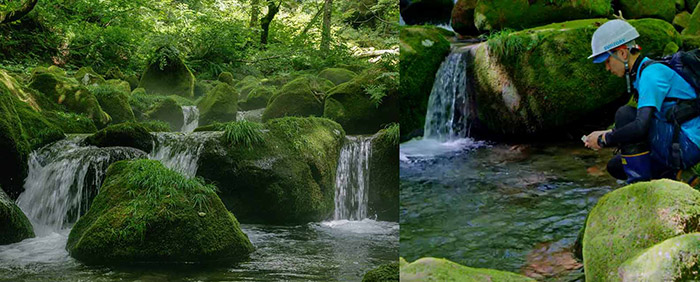 Suntory Natural Water Sanctuaries