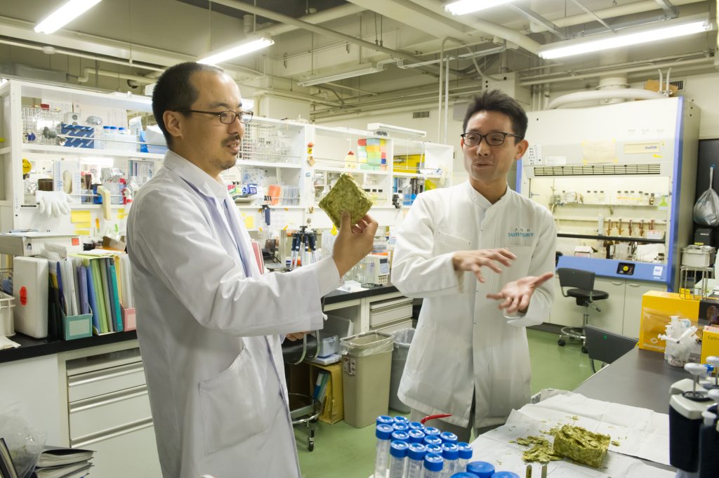 Evaluation of hop quality in our laboratory