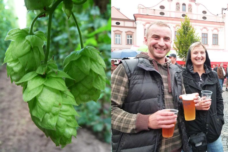 First in the world to unravel the hop draft genome