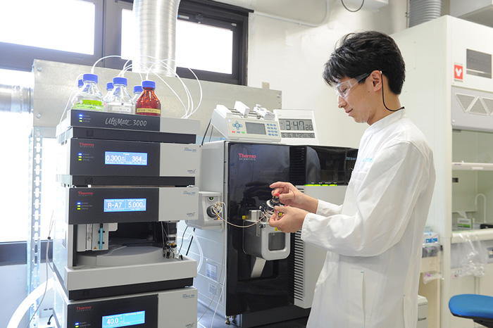 What are your current work responsibilities?