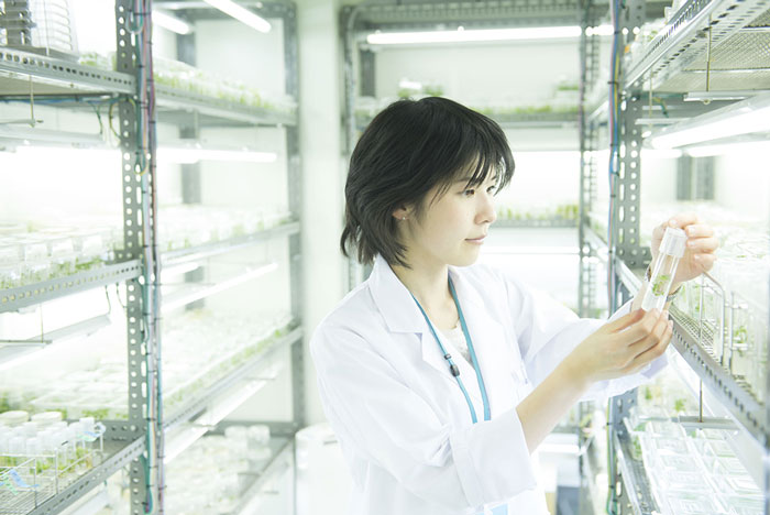 What are your current work responsibilities?