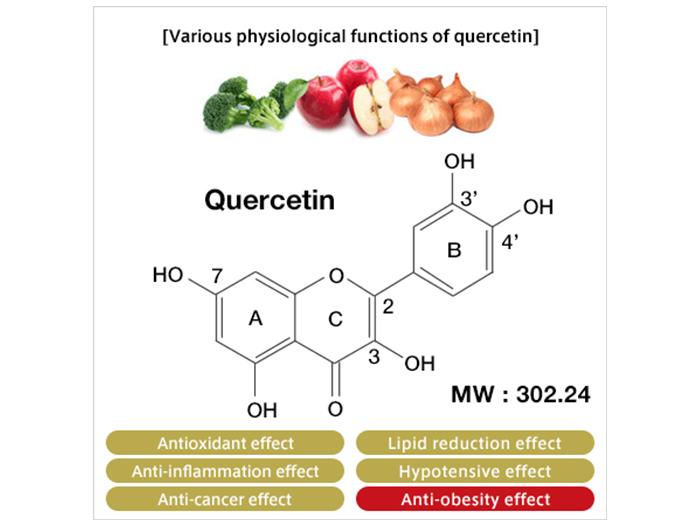 Various physiological functions of quercetin