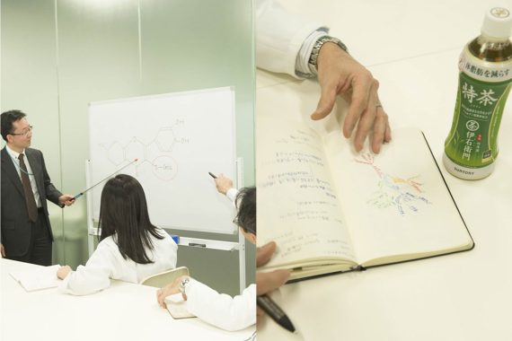 Achieving better health with quercetin glucoside