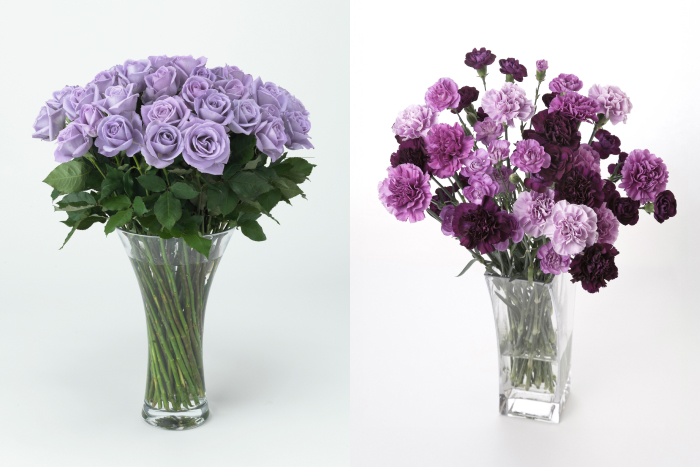 Research into the health benefits of polyphenols