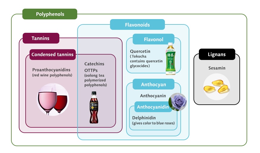 Polyphenols