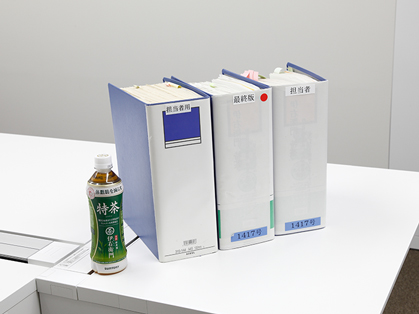 The report submitted as a response was equivalent to three files, each 10 cm (at least!) thick