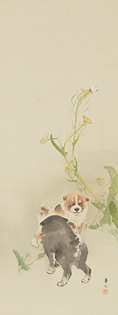 菜花狗児図