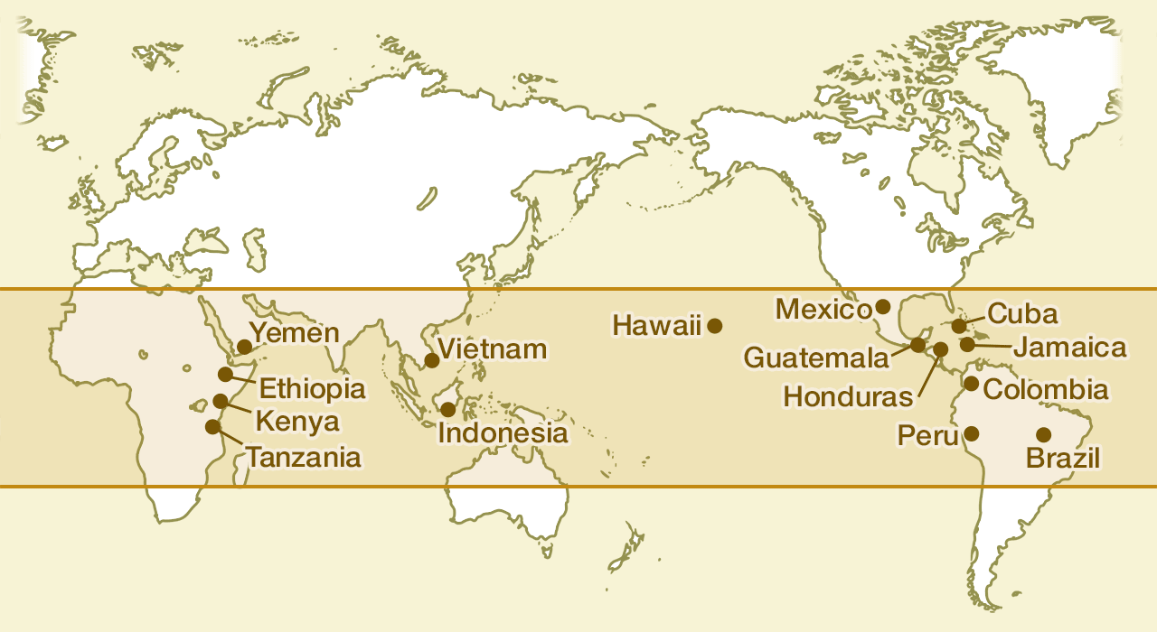 Diagram of the Coffee Belt and major producing nations