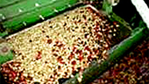 Photo of pulper