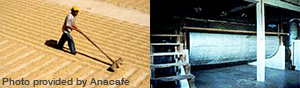 Photo of sun drying method and machine drying method