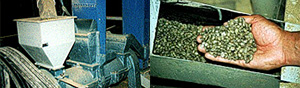 Photo of threshing machine