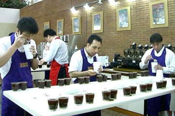 Photo of checking flavor standards
