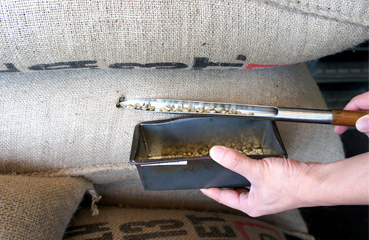 Photo of inspection upon receipt at the roasting factory (Third check)