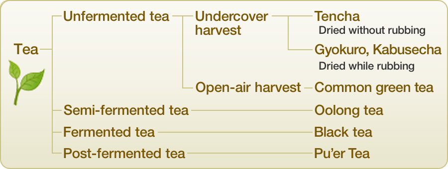 Diagram of Tea Types