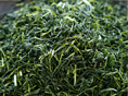 Photo of tea leaves after medium rubbing