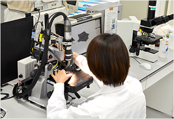 Photo of microscope
