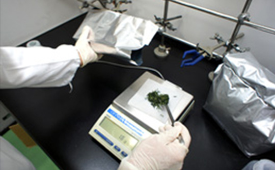 Photo 1 of the radioactive material analysis