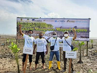 Mangrove Planting