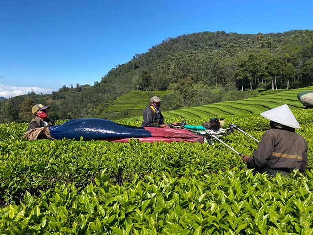 Photos of local farmers