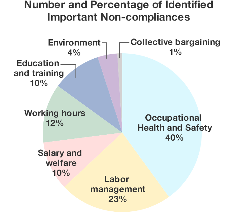Number and Percentage of Identified Important Non-compliances