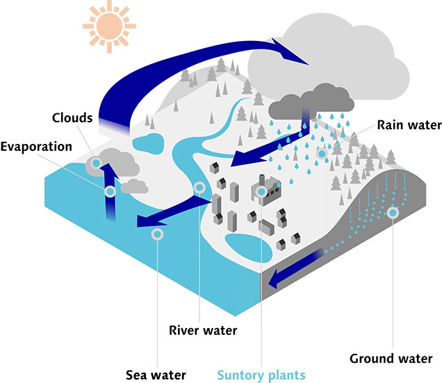 Image of Water Cycle in Watersheds