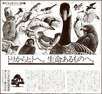 1st Save the Birds! Campaign newspaper ad