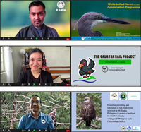 Foreign grantees who participated online in the presentation ceremony