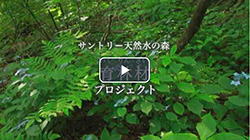 Thumbnail of Video: Ikurinzai - Timber From Cultivated Forests Project