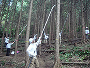 Employees pruning trees at a Natural Water Sanctuary