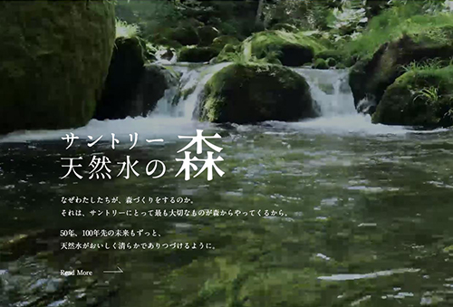 Natural Water Sanctuary