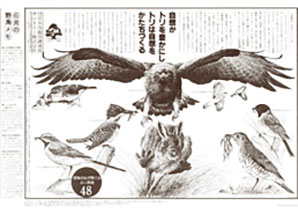 1st Save the Birds! Campaign newspaper ad