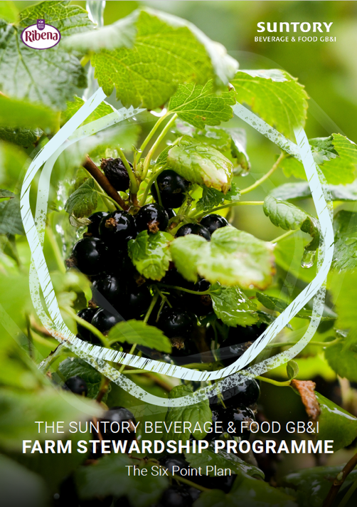 繧ｫ繧ｷ繧ｹ螟壽ｧ俶ｧ繝ｬ繝昴・繝・png