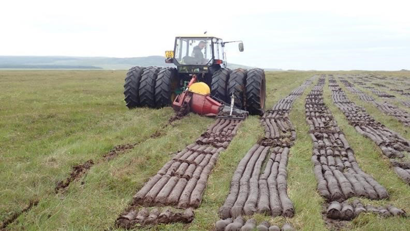 What is the Peatland Water Sanctuary™ (PWS) initiative?