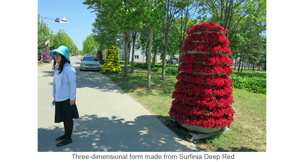 Three-dimensional form made from Surfinia Deep Red